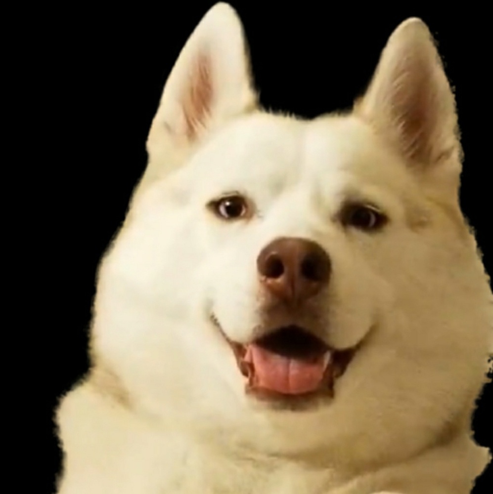 Meet your Posher, Kareena